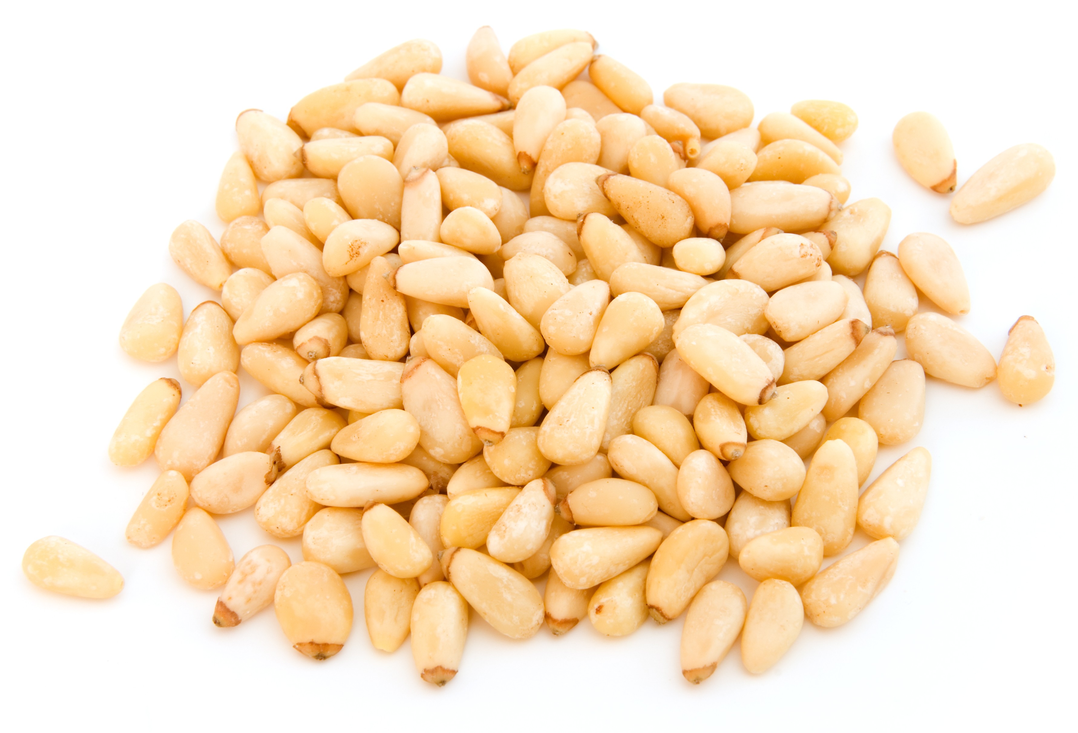 Pinienkerne Spitzenqualität