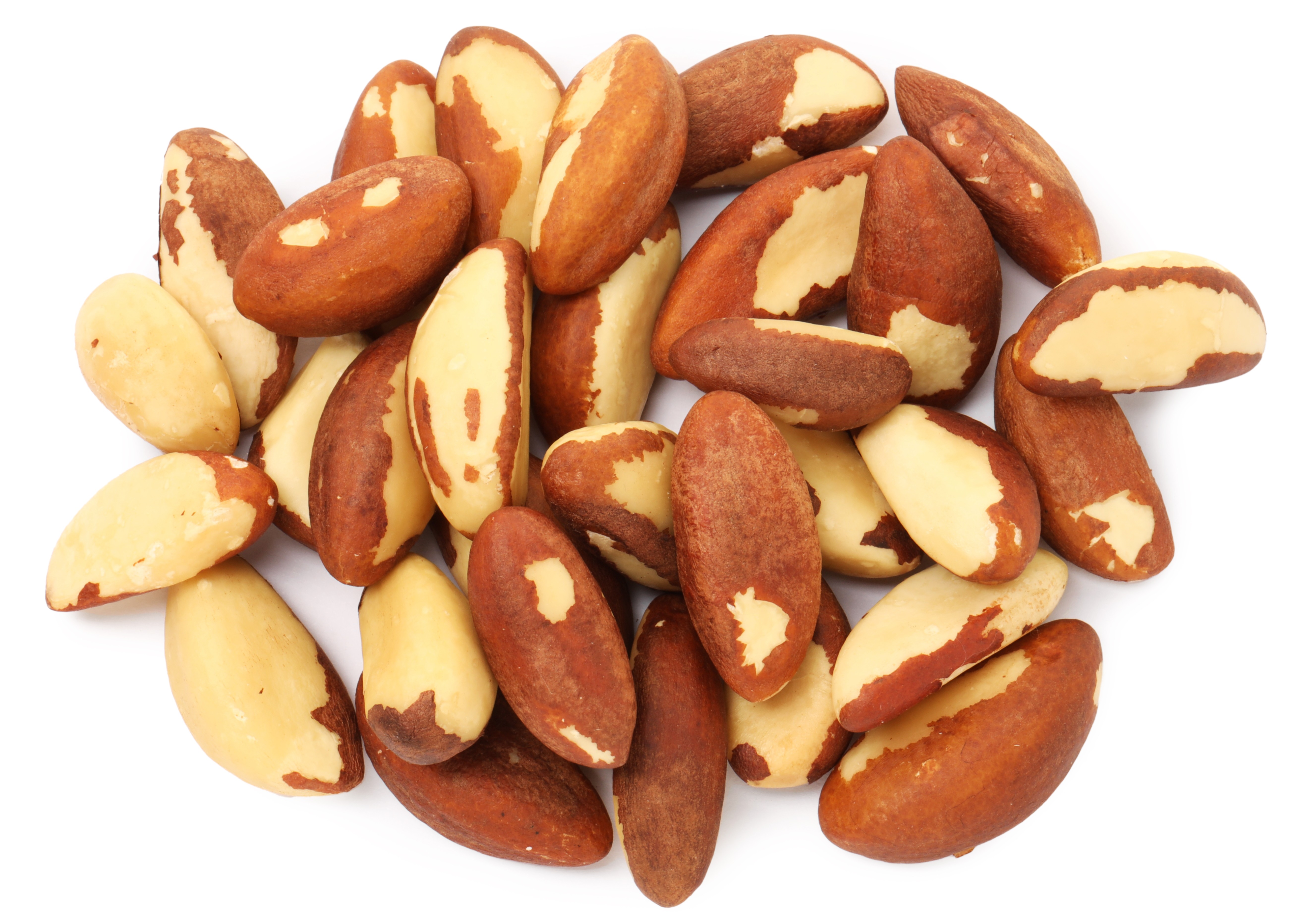 Paranusskerne, Wildwuchs, von Hand gesammelt