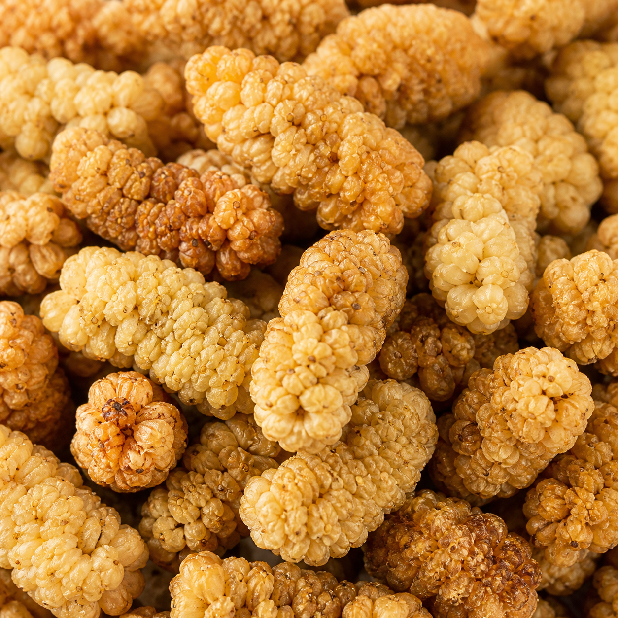 Maulbeeren BIO