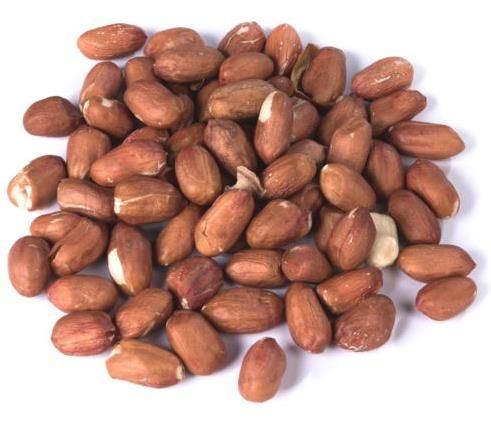 Erdnüsse / Erdnusskerne roh, ohne Schale, ungesalzen, mit der vitalstoffreichen Haut
