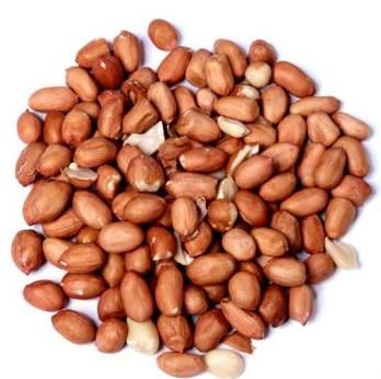 Erdnüsse / Erdnusskerne BIO, Rohkostqualität, mit der vitalstoffreichen roten Haut,