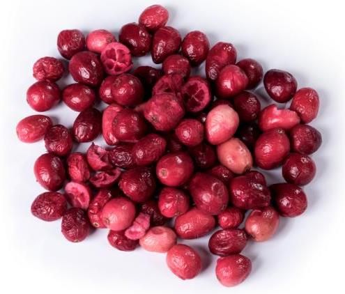 Cranberries gefriergetrocknet, OHNE Zuckerzusatz, 100% natur